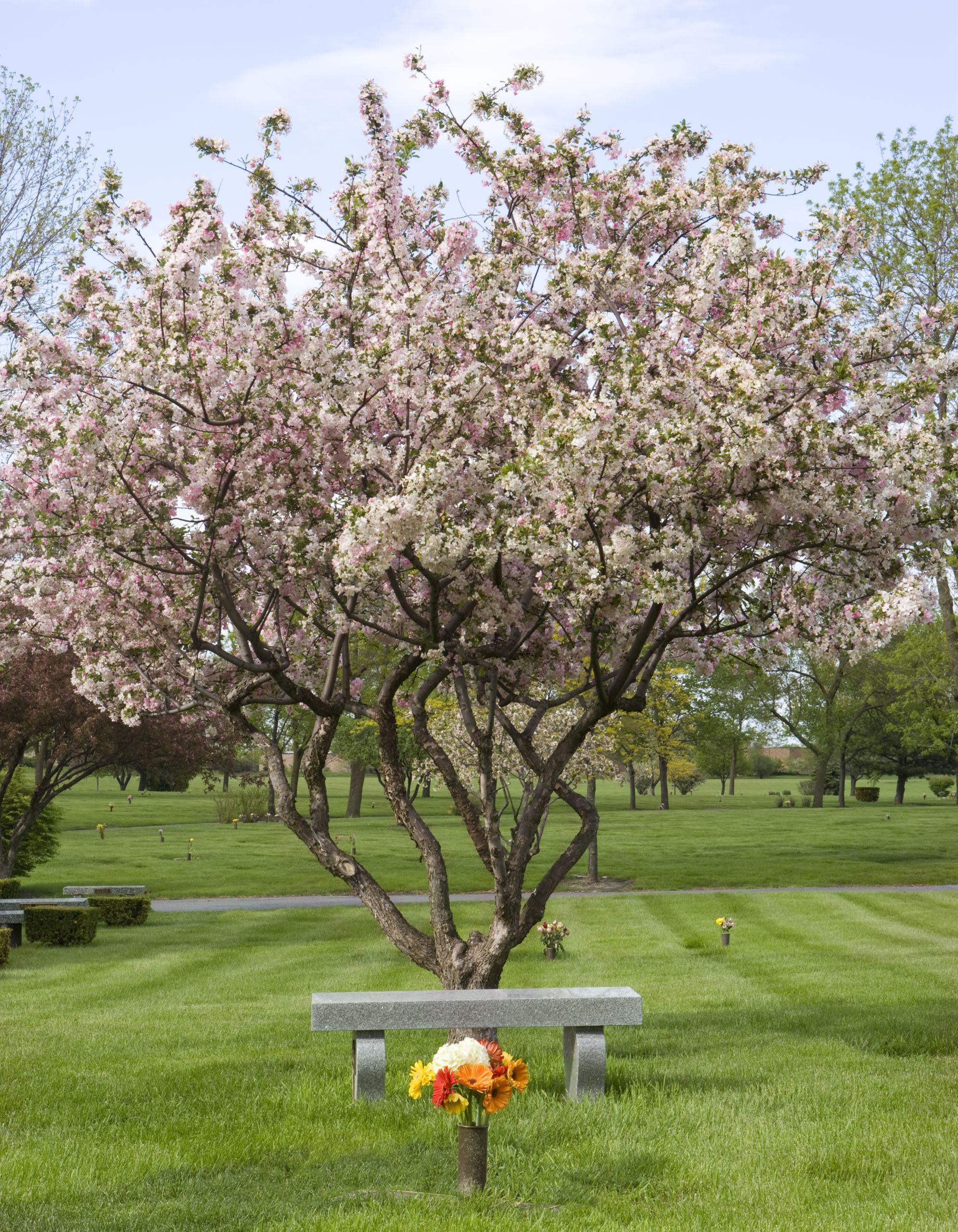 Shalom Memorial Park